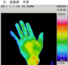 メトセラの効果1 メトセラの効果1